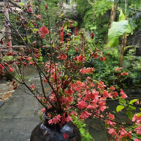 Wuyuan Qiye Yanxiang Guesthouse Exteriér fotografie