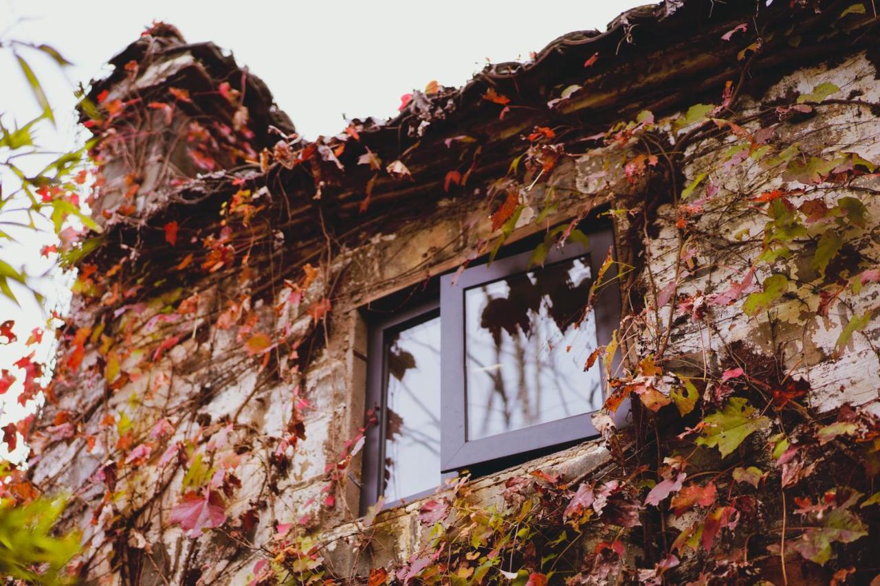 Wuyuan Qiye Yanxiang Guesthouse Exteriér fotografie