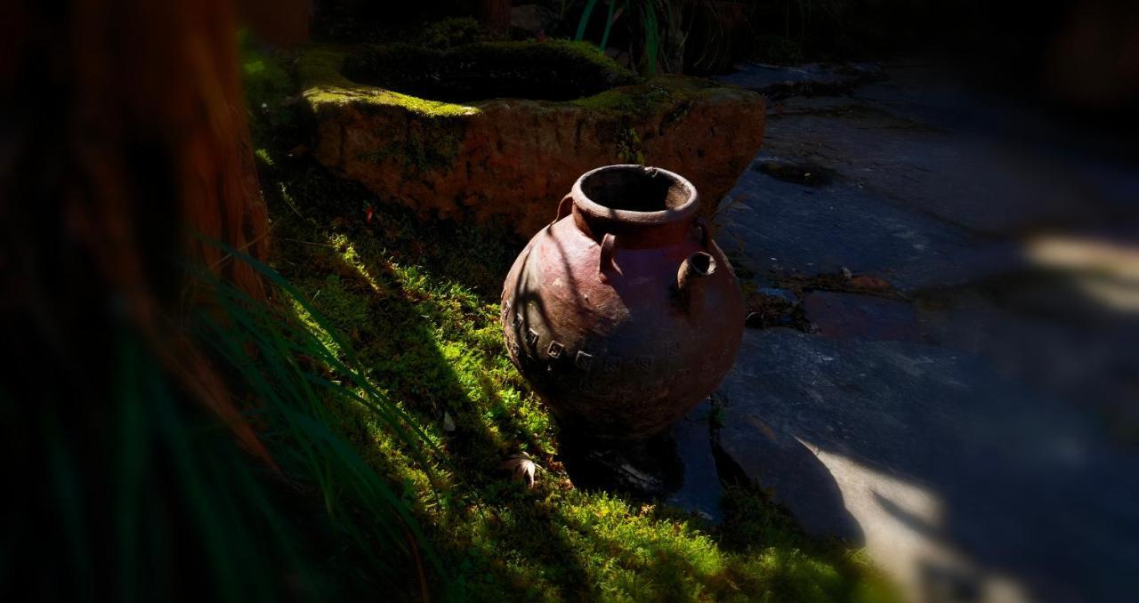 Wuyuan Qiye Yanxiang Guesthouse Exteriér fotografie